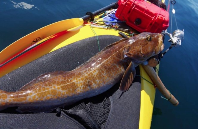 Полный список снаряжения для рыбалки с каяка