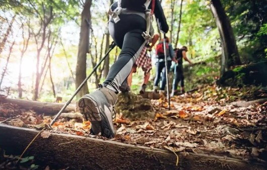 Идеальный маршрут для пеших походов для новичков
